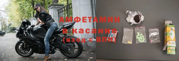 сатива Аркадак