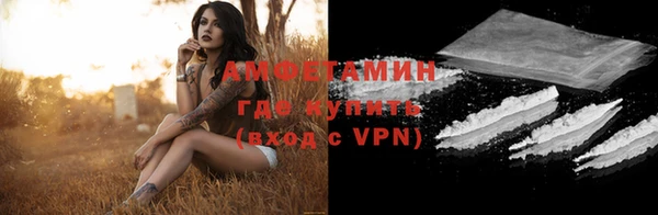 сатива Аркадак