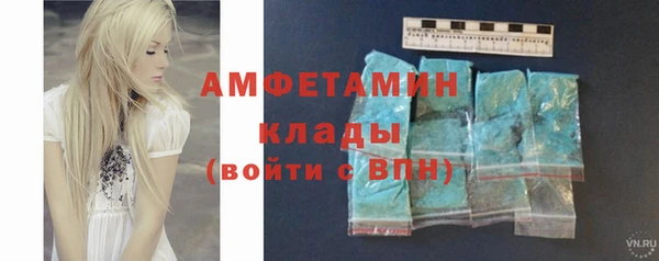 сатива Аркадак