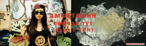 сатива Аркадак