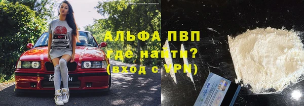 сатива Аркадак